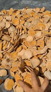 Temulawak Iris Kering / Temu Lawak Iris Kering / Temulawak Kuning Iris Kering Herbal Alami