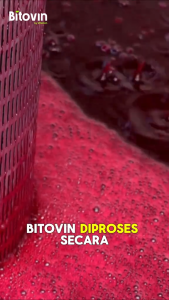 Bitovin Cuka Buah Bit Original | Penambah Darah Alami - Solusi Hipertensi & Kesehatan Jantung