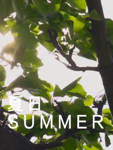 【buy 1 take 1】Whitening Sunscreen 150ml Spray UV Spray Moisturizing Spray Brighten Sunscreen Face Body Whitening Sunscreen Spray Sunblock SPF45 PA+++