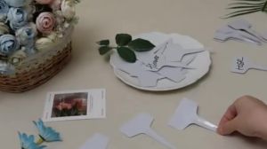 50/100/200pcs White Plastic PVC Plant Tags T Type Marker Nursery Garden Label Seedling Tray Pots Decoration Garden Labels 6x10cm