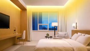 5-Year Warranty 5730 LED Strip Lights: Warm White & Blue 220V Flexible Light Strip