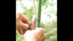 Pisau Lipat Okulasi Cangkok Tanaman Folding Grafting Knife Rosewood