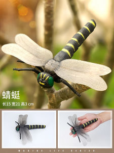 Kids Artificial Insect Model Animal Toy LADYBIRD Japanese Rhinoceros Beetle Dragonfly Spider Dung Beetle Cricket Gift