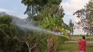 ด้ามพ่นยา DENA รุ่น M16 พ่นยา ทุเรียน ลำไย ปรับใกล้ไกลได้ ก้านพ่นยา DENA ของแท้ ความยาว 25 CM