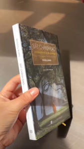 Bát Chánh Đạo (bìa cứng)
