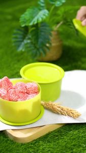 Savina Storage Set of 4 pcs dengan 2 ukuran/ Toples Plastik/ Toples Beranak