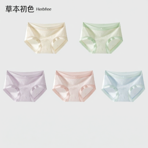 Herbal Antibacterial Seamless Comfort Womens Briefs