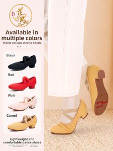 Ballet Style Soft Bottom Mid Heel Dance Shoes