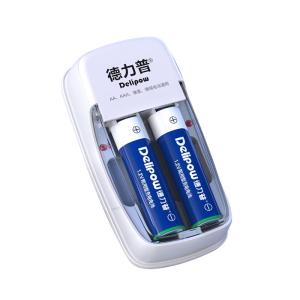 Delipow | High Capacity Rechargeable Battery and Charger Kit for Remote Control Toys