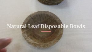 Natural Leaf Disposable Bowl 100 pieces +/- Thonnai Small Bowl Biodegradable Eco Friendly