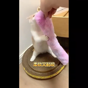 ĐỒ CHƠI GỐI NHỒI BÔNG CATNIP CHO MÈO GỐI ÔM CATNIP CHO MÈO NHIỀU MÀU SẮC