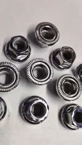 Bicycle Track Nut for Fixie Bike Stainless Rear Axle Nut Flange Type Size M10