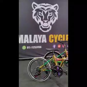 Shimano 20-inch Foldable City Bike with Hydraulic Brakes and 7-Speed Gear - Aluminum Alloy Frame