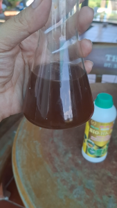 NẤM BA MÀU HK CHAI 1 LÍT. PHÒNG BỆNH thối nhũn rệp sáp sâu tơ tuyến trùng xua đuổi côn trùng chích hút.