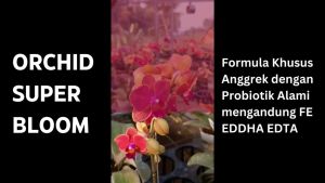 Nutrisi Anggrek Probiotik Alami: Orchid Super Bloom 250ml