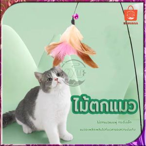 ไม้แมว เสริมสร้างกลุ่ม ไม้ตกแมว บริการเล่นสำหรับแมว ยาว สุด ไม้ล่อ สำหรับสัตว์เลี้ยง ไม้แมว ของเล่น เสริมสร้างกลุ่ม สำหรับแมว ไม้ตกแมว นอนวางแมว สำหรับสัตว์เลี้ยง