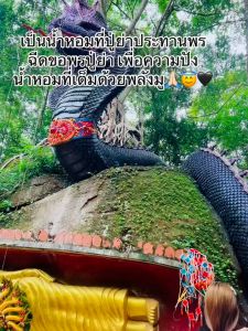 น้ำหอมมนตรา กลิ่นดอกไม้แห่งป่า ขนาดพกพา 40ml พร้อมกล่องสวย