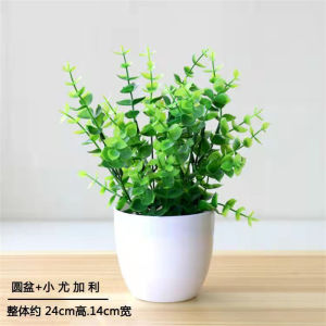 Living Room Artificial Carnation Flowers Plastic Potted Plant Scenic Spot Set Decorative Fake Daisies Home Decoration
