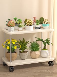 Multifunctional Indoor Plant Shelf