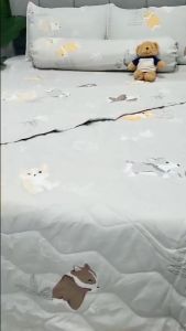 🎡SIÊU XINH🎡 Bộ Chăn Ga Gối Lụa Tencel Than Hoạt Tính Cao Cấp Kháng Khuẩn Mềm Mịn Thoáng Mát _ Nemtot Bedding