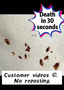 Organic Ant Spray Killer 500ML Ant Repellent For Home Ant Killer Spray Odorless From Japan Anti Ant