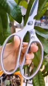 กรรไกรตัดอาหาร กรรไกรอเนกประสงค์ SK5 กรรไกรสแตนเลสอเนกประสงค์ในครัว (พร้อมส่ง) G3016