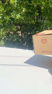 Hộp Ly Thuỷ Tinh Trơn Sữa Chua Pudding Cà Phê Thái Lan 170ML LG-103006