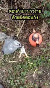 10ตัว ตุ้มตอนกิ่ง 8ซม.ลูกบอลตอนกิ่ง ตอนกิ่ง มีที่ล็อคในตัว ขยายพันธุ์พืช ลูกบอลตอนกิ่ง ตอนต้นไม้ ใช้ซ้ำได้ ใช้แทนกาบมะพร้าว