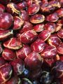 JENGKOL BEWEH TUA MENTAH 1 KG. 