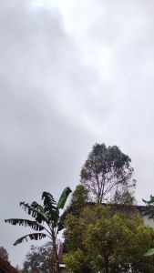 PAKET PERAWATAN KENDARAAN MOBILMOTOR SUPER HEMAT BY AGUNG JAYA GARAGE