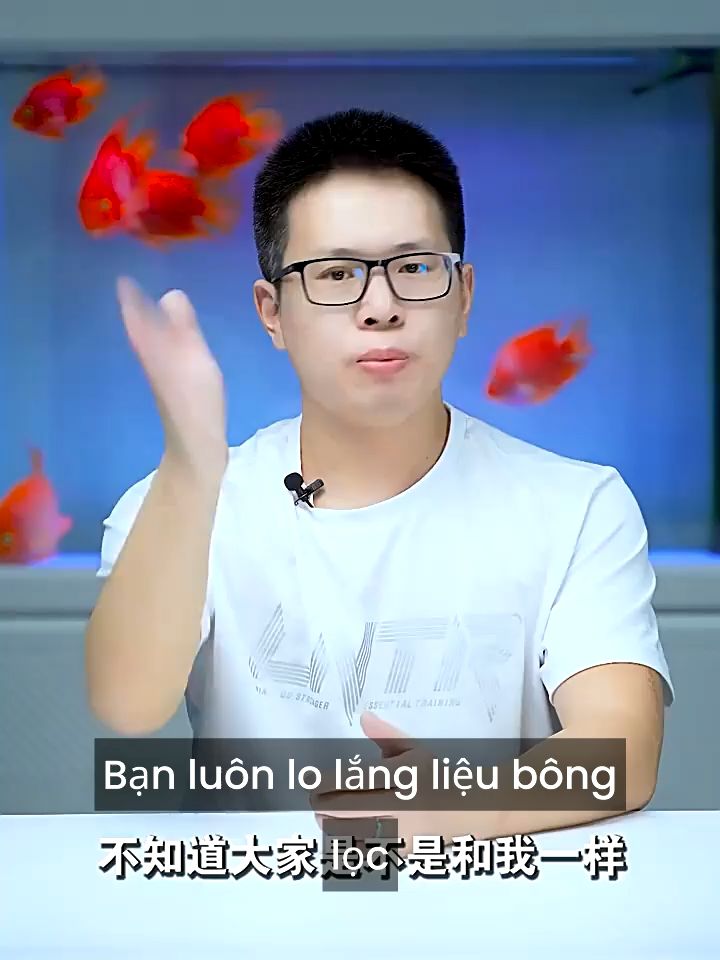 Tấm lọc 8D | Bông lọc Bể cá 8D | Lọc siêu sạch và không gây hại cho cá