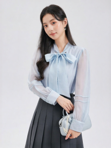 French Elegant Office Style Chiffon Long Sleeve Shirt Blue