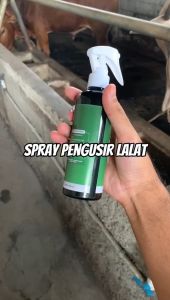 ANTILAT Obat Anti Lalat Hewan Ternak Sapi Kambing - Spray Pembasmi Lalat Kutu Nyamuk
