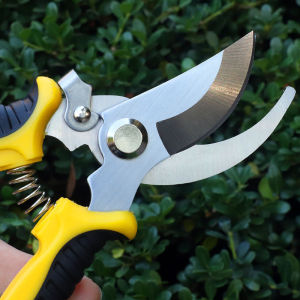 Home Gardening Tools: High-Quality Pruning Shears & Scissors