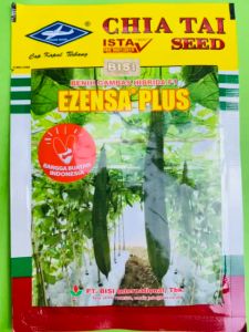Benih bibit biji gambas EZENSA plus 10 gram dari Cap Kapal Terbang F