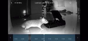 PROMO Beli 5 Lebih Murah: Perangkap Tikus Besar & Alat Pembasmi Penjepit Jebakan Canggih Super Kuat