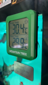 NHIỆT KẾ ĐIỆN TỬ MOUNTAIN TREE DÀNH CHO BỂ CÁ CẢNH BỂ THUỶ SINH