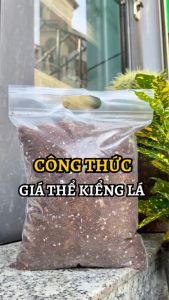 Túi 5L/10L - Giá thể trồng kiểng lá - Giá thể trồng cây chất lượng cao | Độc quyền Family Garden