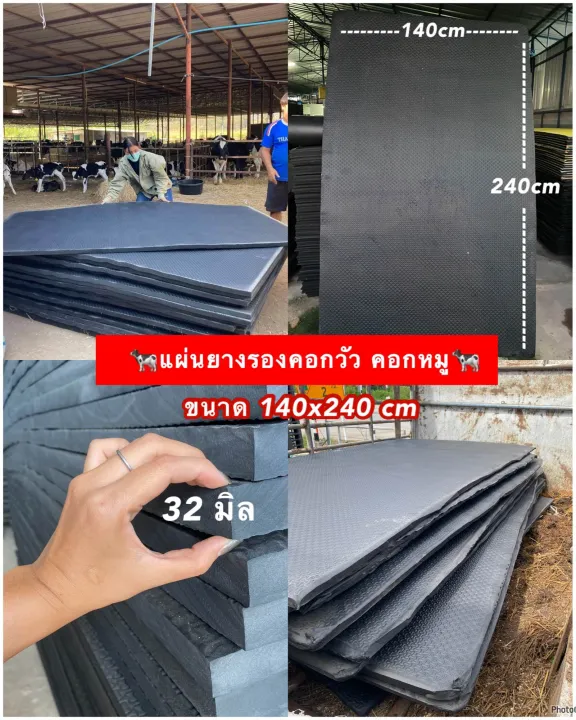 แผ่นยางรองคอกวัวควาย หนาพิเศษ 32 มิล กันกระแทก