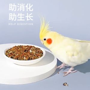 100/200/500g Bird feed Parrot nourish pill bird food for cockatiel lovebirds