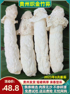 ZhiJin Bamboo Mushroom Dried Red Tray Short Skirt Thick Meat Freshness from Guizhou Authentic Edible Farm Products 50g Bag