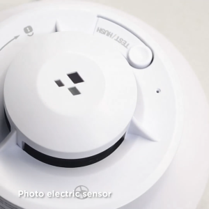 DUMA STAND ALONE SMOKE ALARM WITH AA BATTERIES AND LOUD ALARM WITH FEATURE PHOTOELECTRIC SENSOR