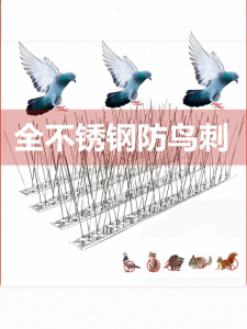 Stainless Steel Bird Repellent Spike Home Balcony Anti-Pigeon Bird Deterrent Garden Ornament Eco-Friendly Horticulture Supplies