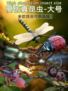 Kids Artificial Insect Model Animal Toy LADYBIRD Japanese Rhinoceros Beetle Dragonfly Spider Dung Beetle Cricket Gift