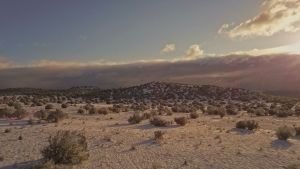 SKIN1004 Hyalu-Cica Line Water-Fit Sun Serum [Hydrates & Moisturize] - Koscos