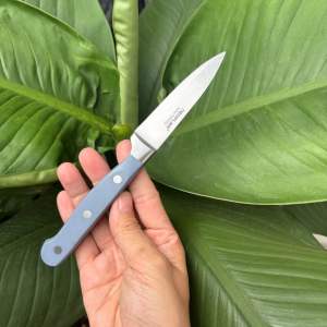 Cặp dao gọt tỉa hoa quả hàng Đức dài 20-25cm