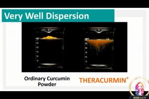 Kordels Bio-Curmin 100mg (60 veg caps /60+30 veg caps)