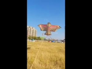 Eagle Kite Novelty Animal Kites Outdoor Beach Garden Sport Games