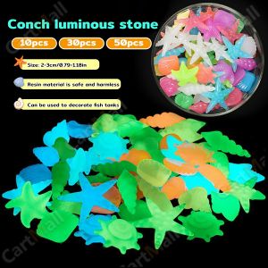 Colorful Luminous Stones Starfish Conch Shaped For Aquarium Walkways Garden Decorative 2-3cm