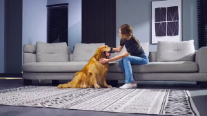 Pet Grooming Kit Pet Vacuum Cleaner Trimmer Pet Shaver Cat Dog DeShedder Clipper Hair Removal Tool For Shedding Pets